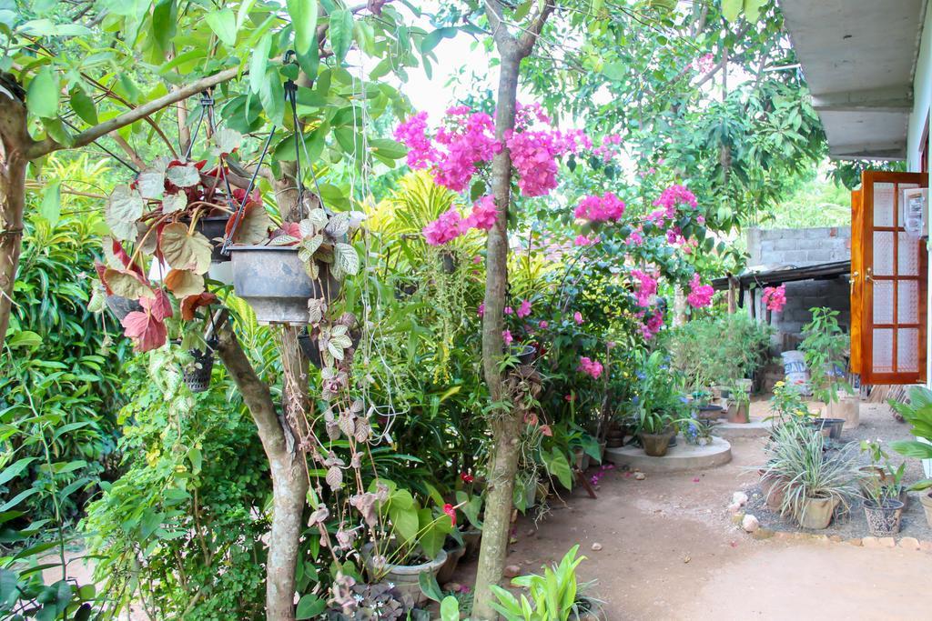 Nethum Rest Hotel Mirissa Luaran gambar