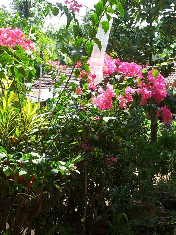 Nethum Rest Hotel Mirissa Luaran gambar